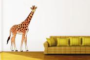Wandtattoo Giraffe color Motiv Nr. 1 