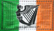 Fahne Irland Soldier 90 x 150 cm 