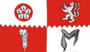 Miniflag Leicestershire 10 x 15 cm 