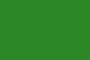 Fahne Grün 150 x 250 cm 