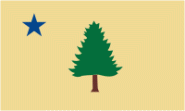 Flagge Maine 1901 
