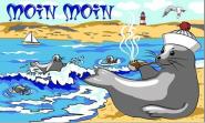 Fahne Moin Moin Seehund an der Küste 90 x 150 cm 
