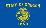 Miniflag Oregon 10 x 15 cm 
