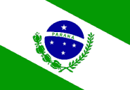 Fahne Paraná 90 x 150 cm 
