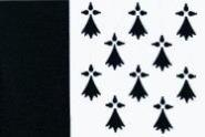 Miniflag Pays Rennais 10 x 15 cm 