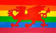 Fahne Regenbogen Wales 90 x 150 cm 