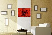 Wandbild Rote Rose mit Wassertropfen 