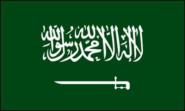 Miniflag Saudi Arabien 10 x 15 cm 