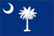 Miniflag South Carolina 10 x 15 cm 