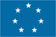 Flagge Südstaaten Navy Jack 20 x 30 cm 