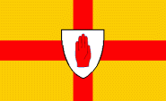 Miniflag Ulster 10 x 15 cm 