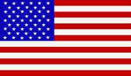 Fahne USA 30 x 45 cm 