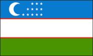 Miniflag Usbekistan 10 x 15 cm 