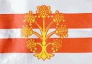 Miniflag Westmorland 10 x 15 cm 