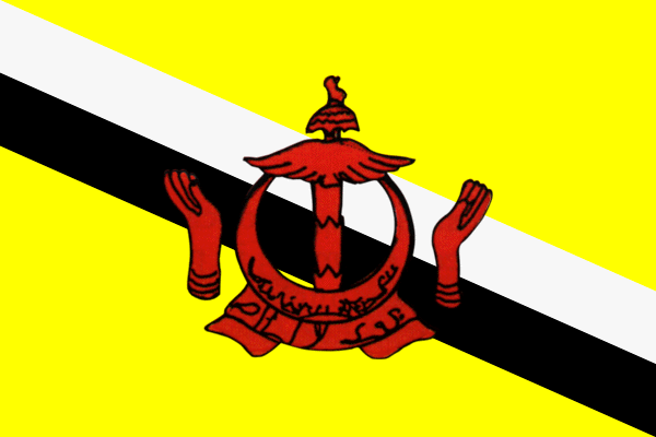 Fahne Brunei Flagge bruneiische Hissflagge 90x150cm 