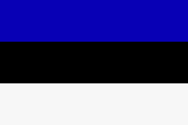 Fahne Flagge Estland 30 x 45 cm