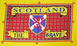 The Brave 90 x 150 cm Fahne Flagge Schottland 